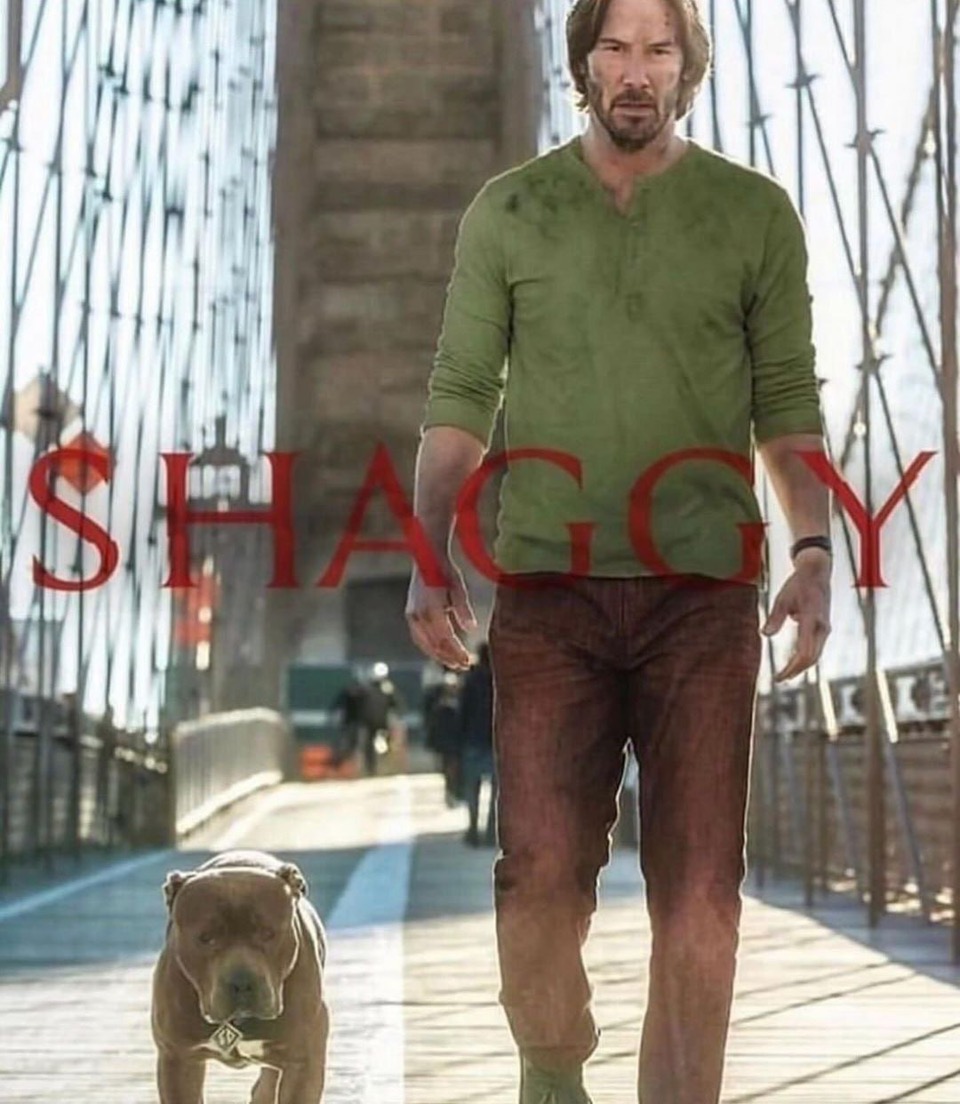 photo_2023-11-21 22.11.02.jpeg